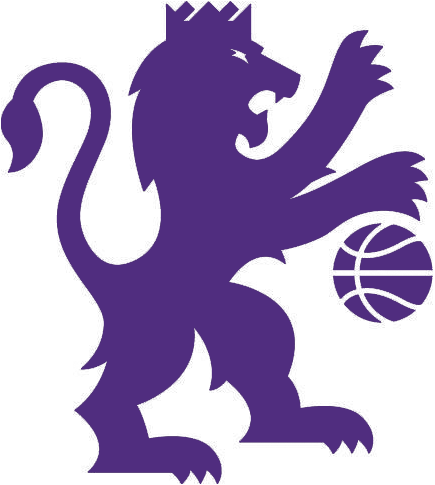 Sacramento Kings 2016-Pres Alternate Logo iron on transfers for clothing version 4